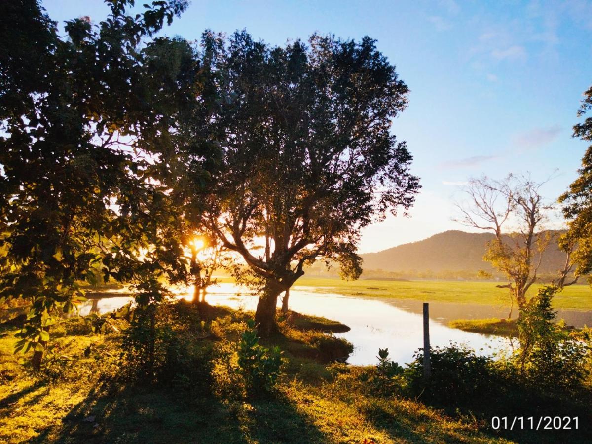Lake Front Yala Safari Kataragama Extérieur photo