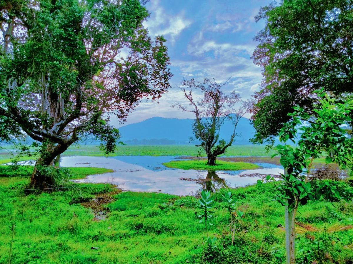 Lake Front Yala Safari Kataragama Extérieur photo