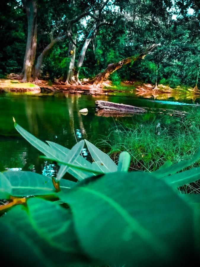 Lake Front Yala Safari Kataragama Extérieur photo