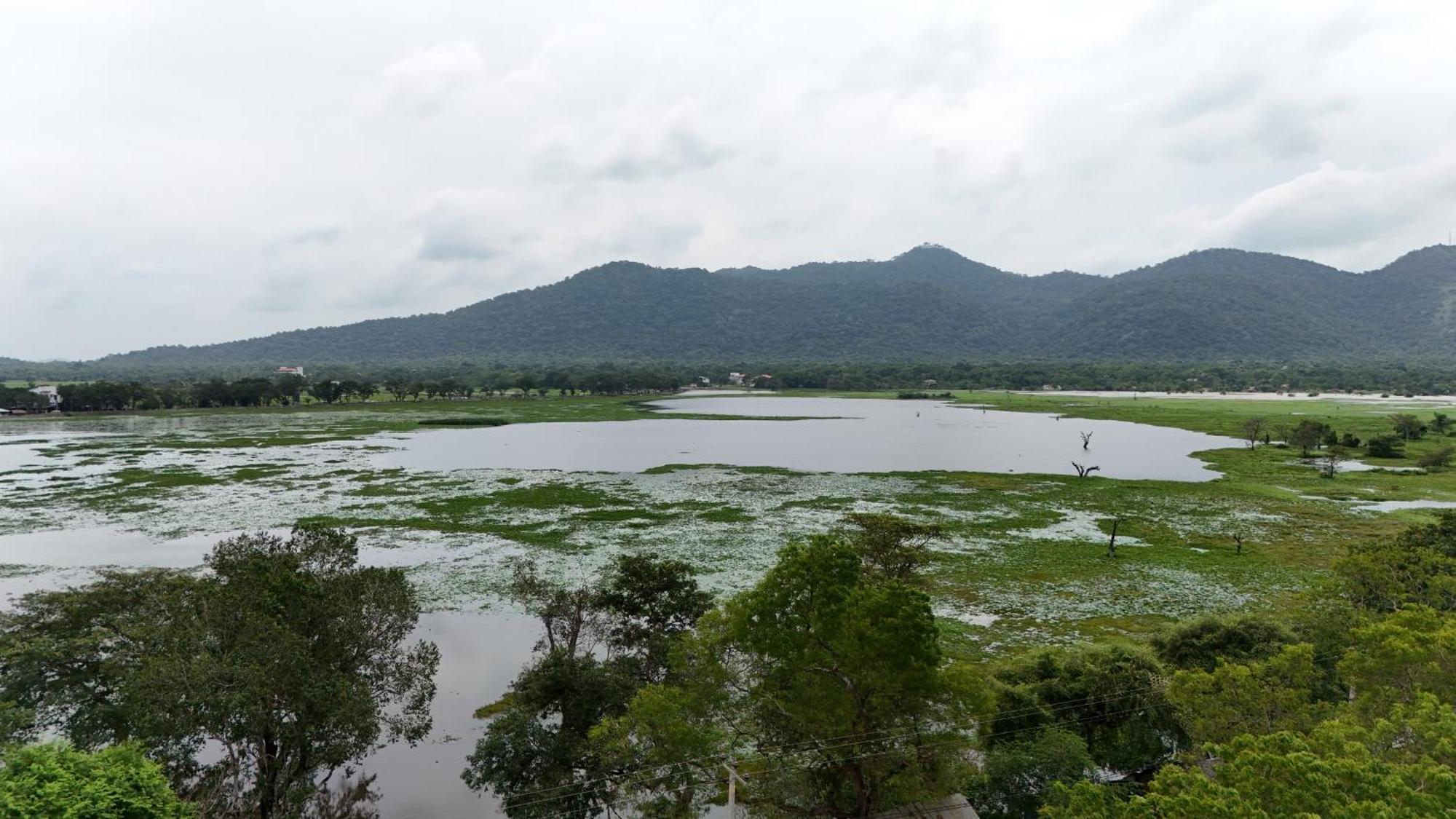 Lake Front Yala Safari Kataragama Extérieur photo